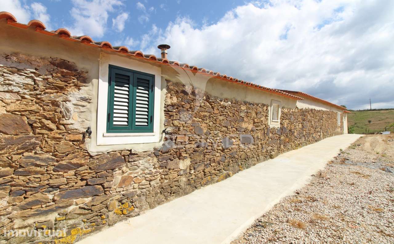 Quinta com 7,500 ha em São Martinho das Amoreiras - Grande imagem: 4/33