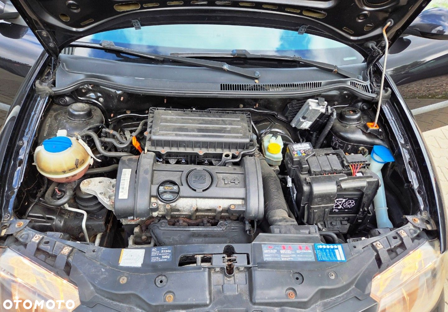 Seat Ibiza - 11