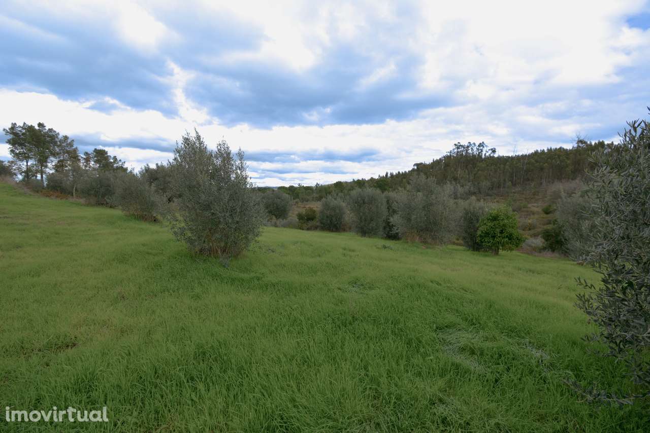 Terreno  Venda em Asseiceira,Tomar - Grande imagem: 5/10