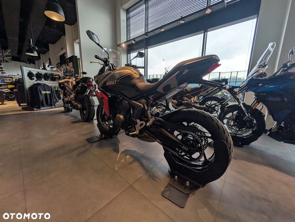 Triumph Tiger - 6