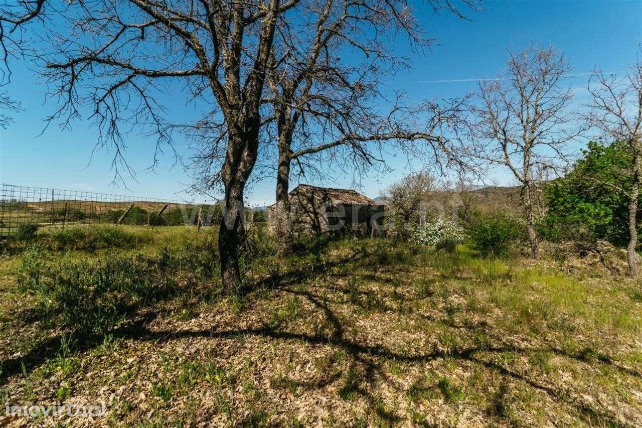 Terreno com ruina / Fundão, Pêro Viseu - Grande imagem: 4/14