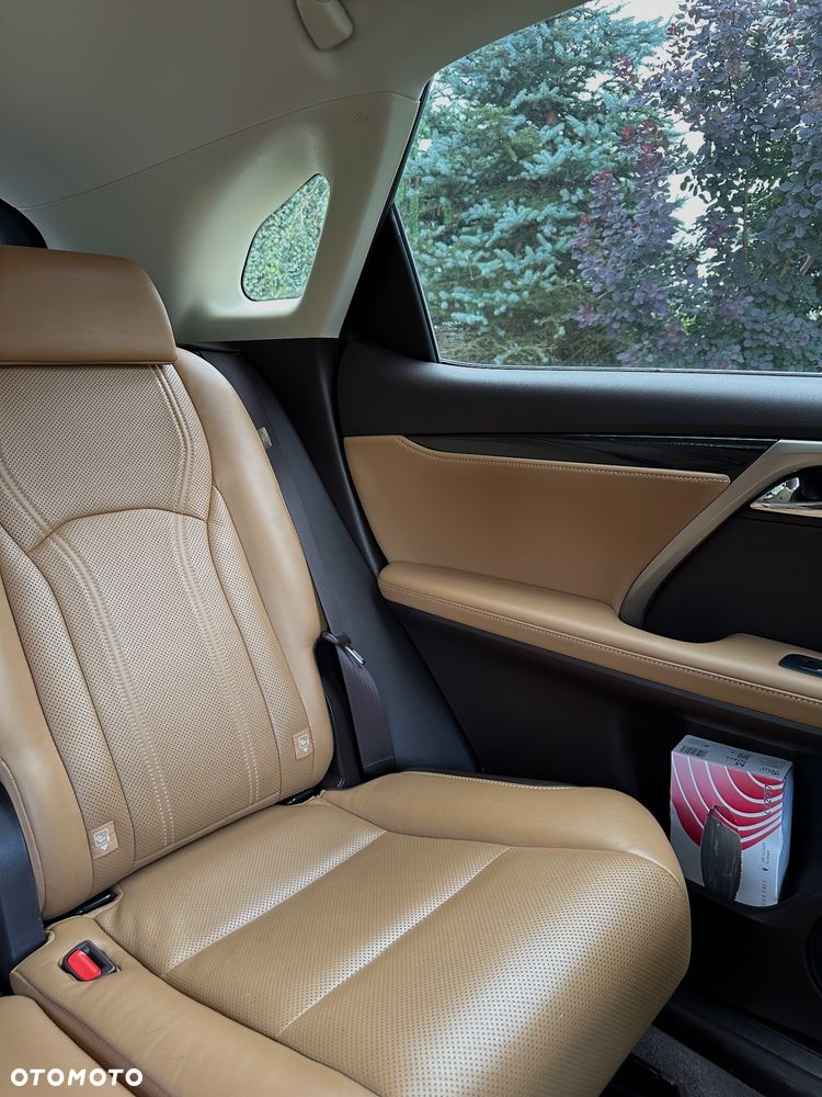 Lexus RX 200t / 300 Elegance - 16