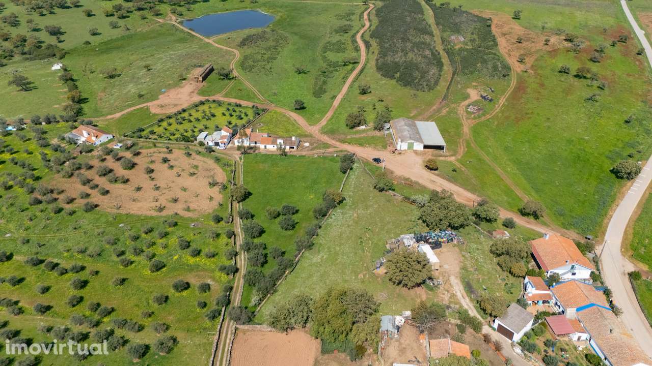 Monte da Chamurreira – Casa Tradicional com História a 10 Minutos do A - Grande imagem: 3/18