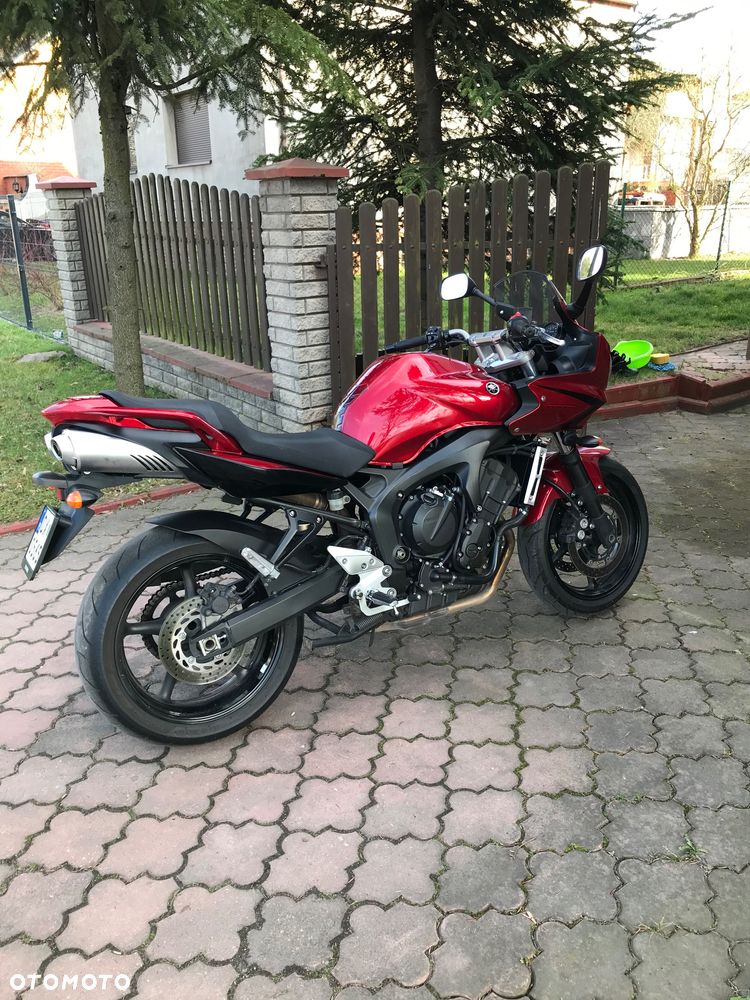 Yamaha FZ6 - 3