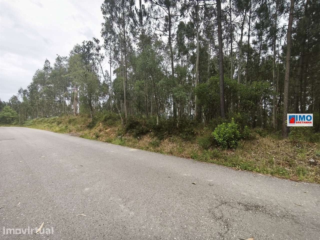Terreno c/ possibilidade de Construção | 2542 m² | Vila Nova de Poiare - Grande imagem: 2/5