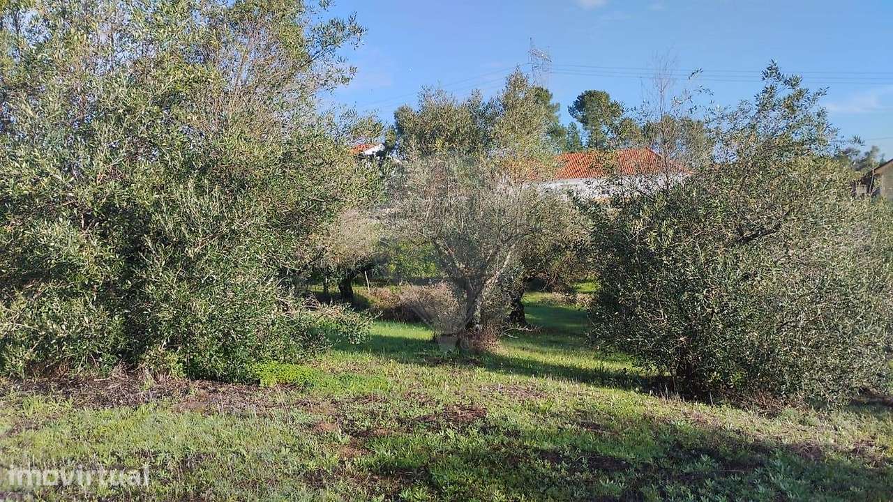 Terreno  para venda - Grande imagem: 5/16