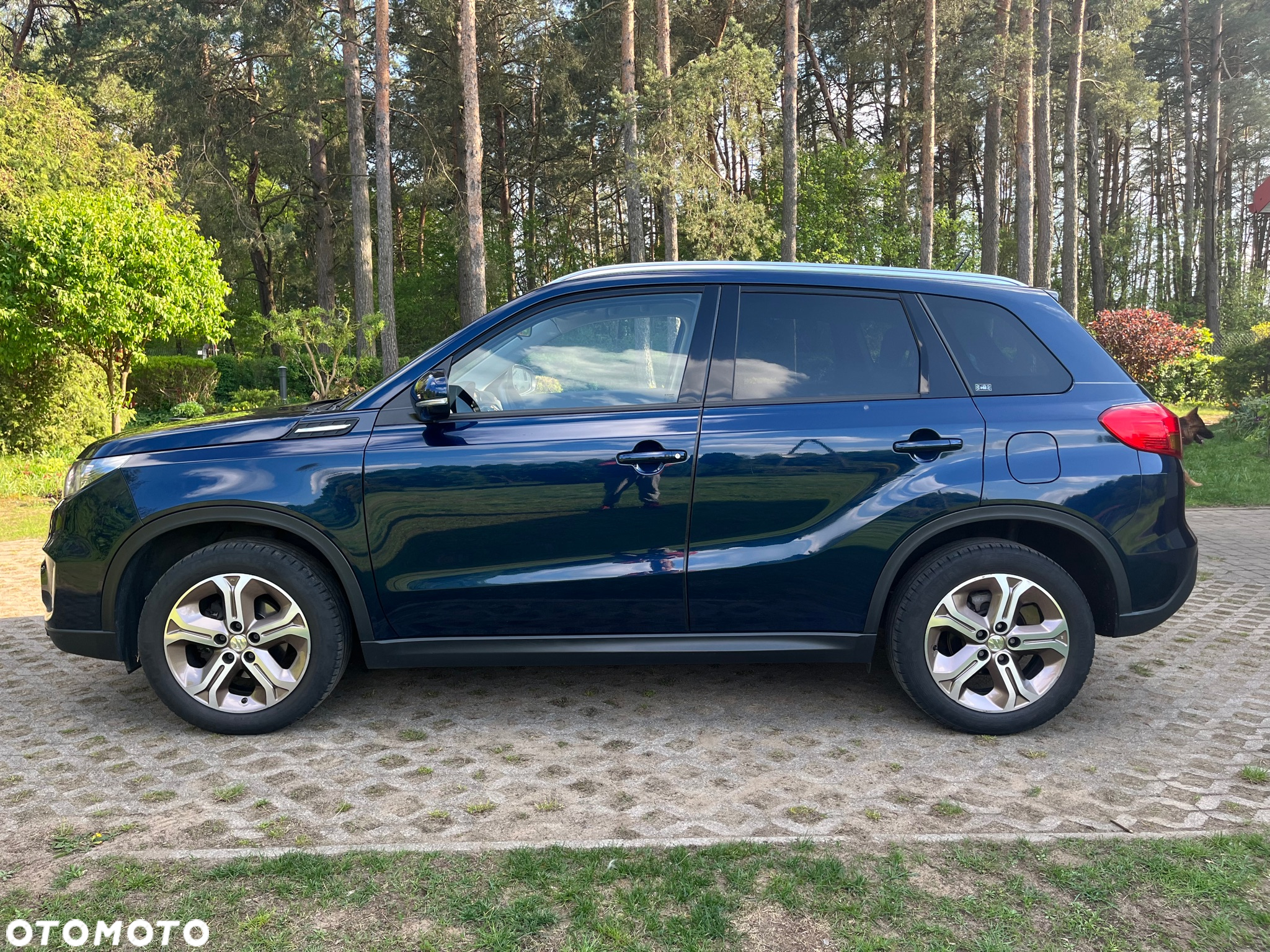 Suzuki Vitara 1.6 Premium 2WD - 2