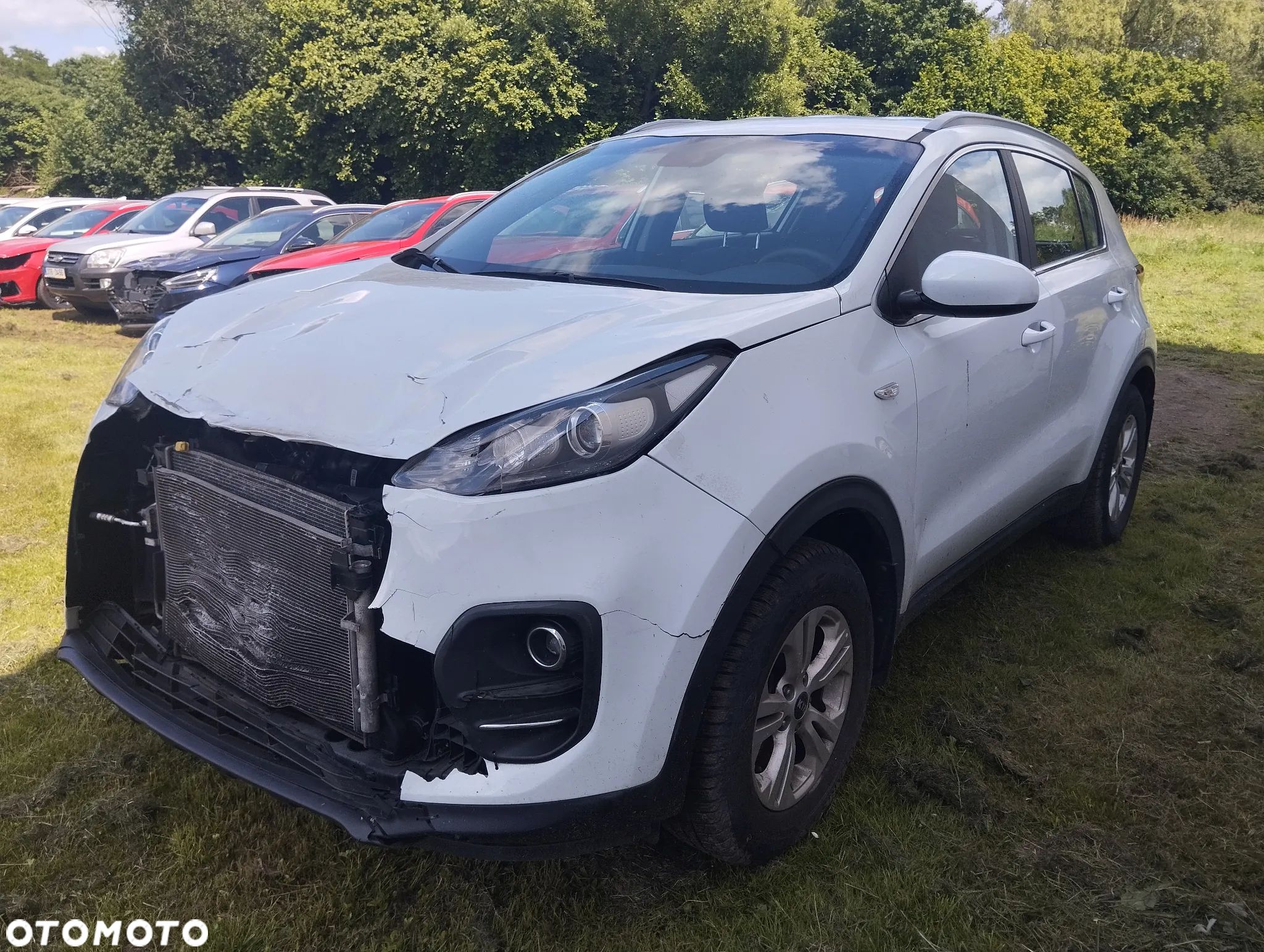 Kia Sportage - 1