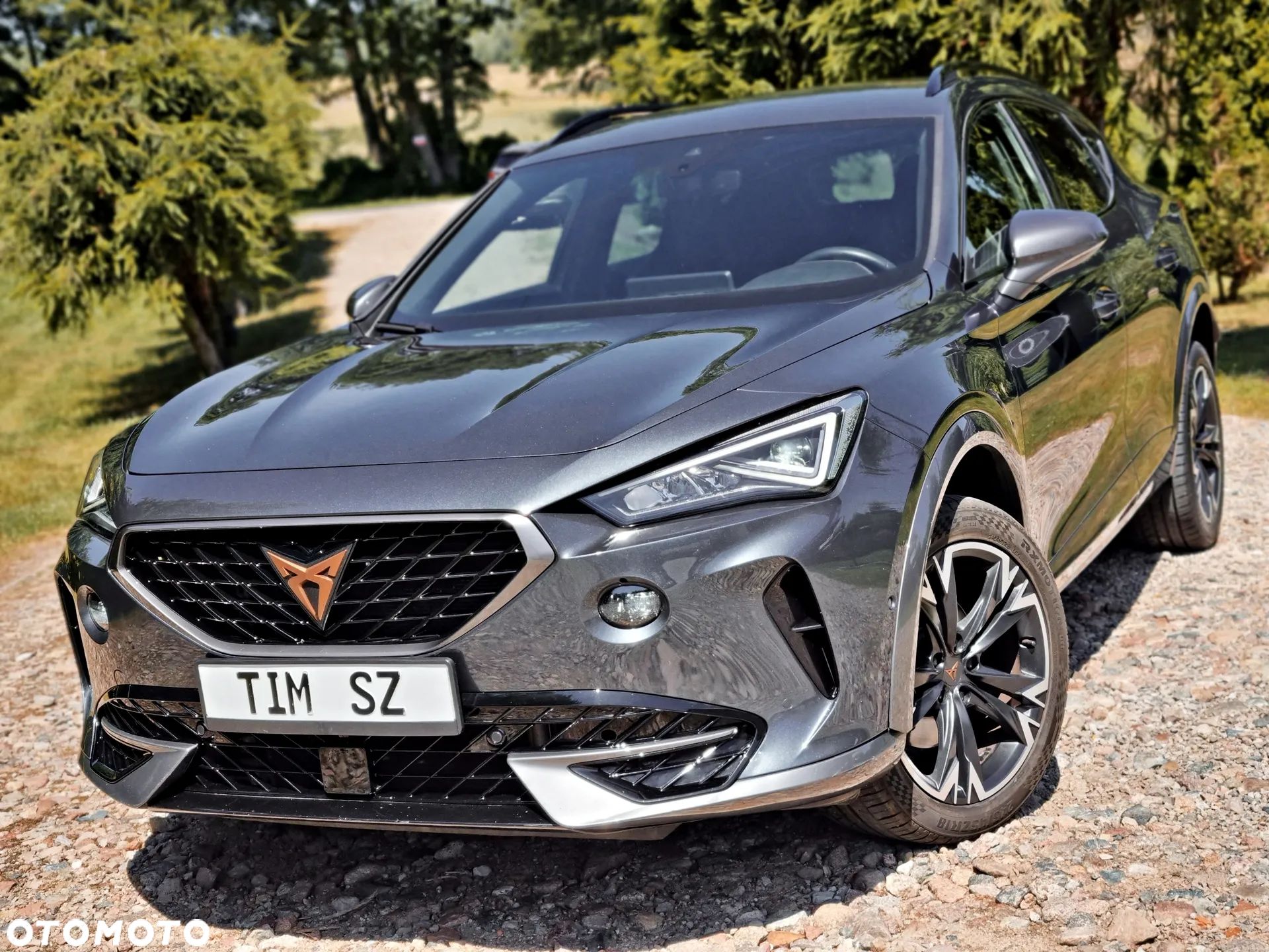 Cupra Formentor 2.0 TDI - 1