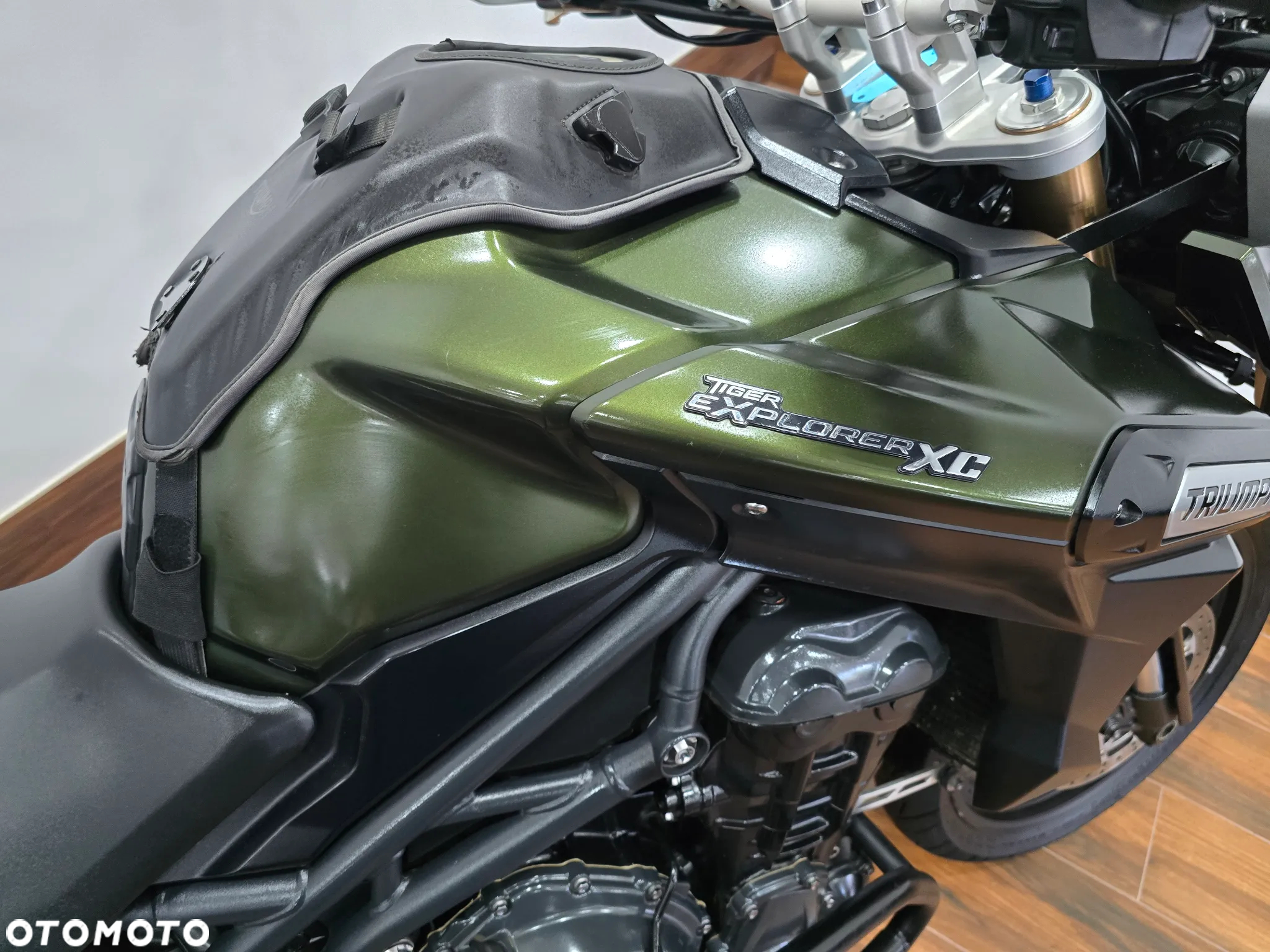 Triumph Tiger - 15