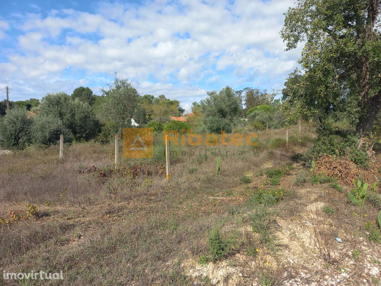 Terreno para construção em Coruche - Grande imagem: 3/11