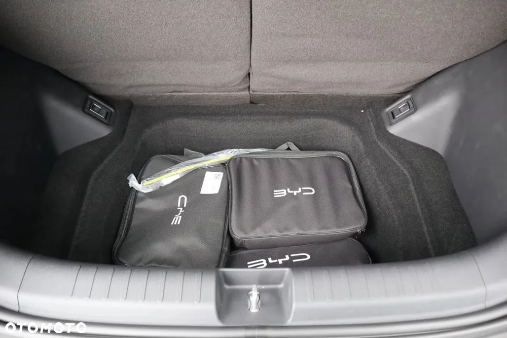 BYD Dolphin Surf Comfort - 28