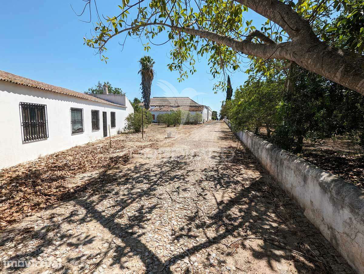 Monte em Castro Marim, 36 ha, 1125m2 urbano, premium - Grande imagem: 5/38