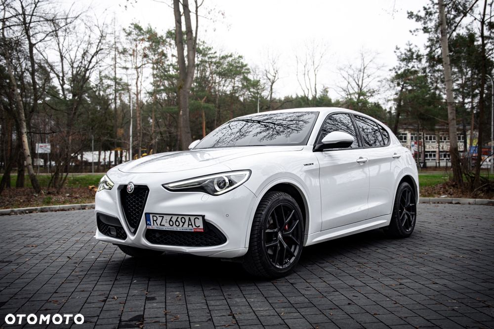 Alfa Romeo Stelvio 2.0 Turbo Veloce Q4 - 1