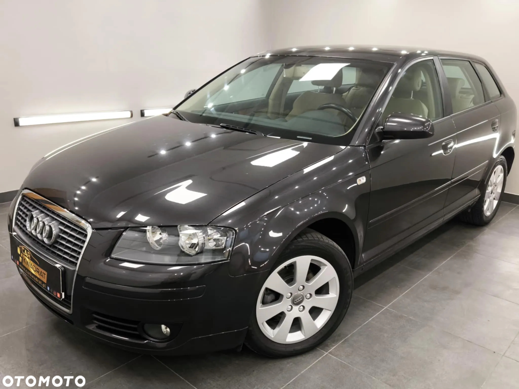 Audi A3 1.9 TDI Sportback Ambition - 22