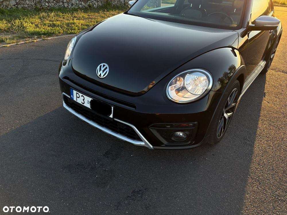 Volkswagen Beetle - 3