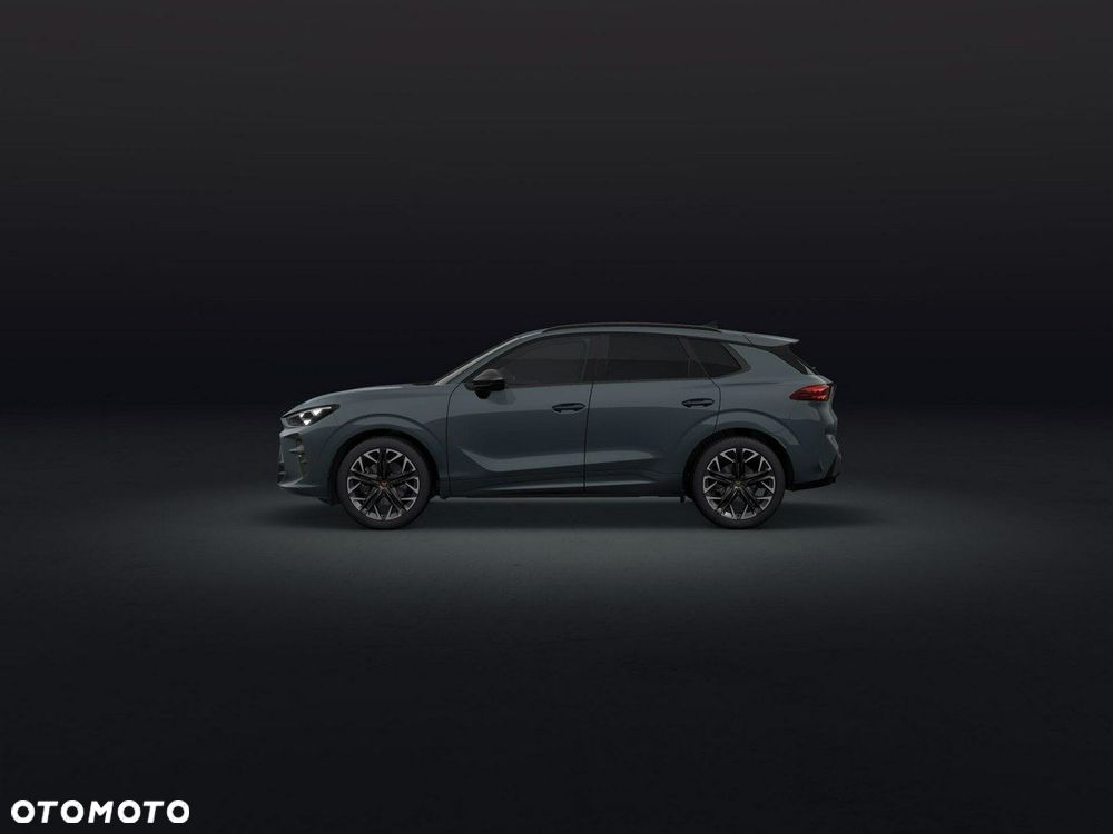 Cupra Terramar - 3