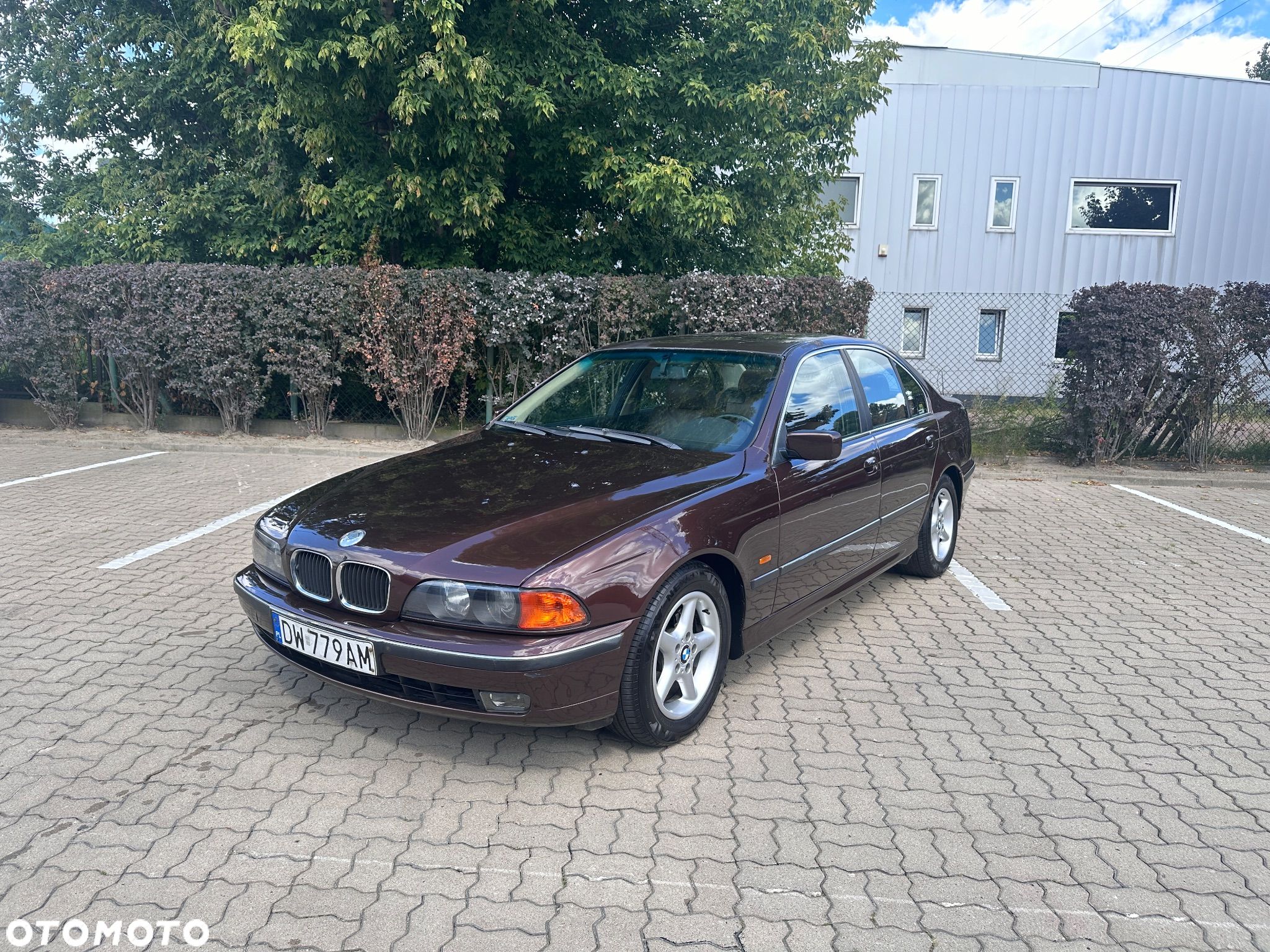 BMW Seria 5 523i - 1