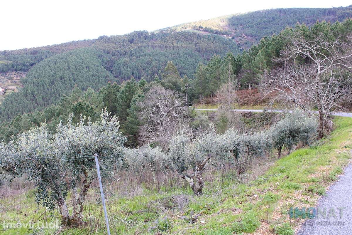 Terreno - Grande imagem: 3/24