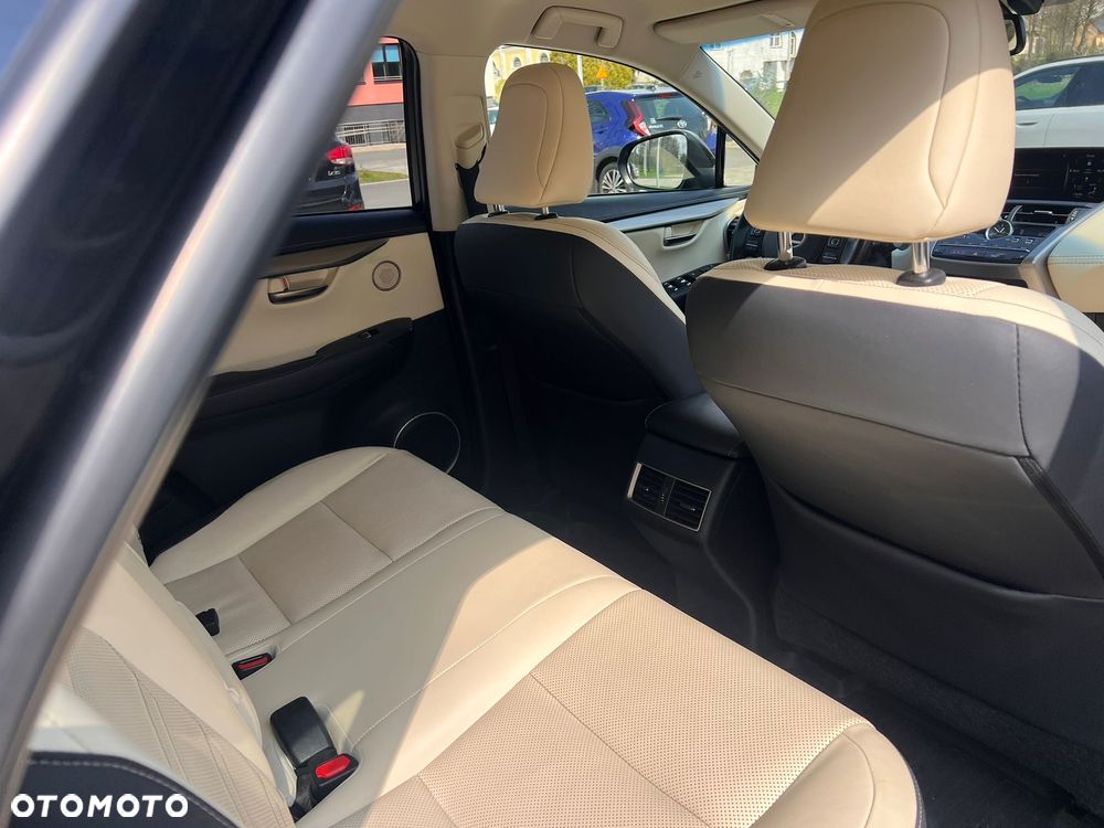 Lexus NX 300 Elegance Optimum AWD - 20