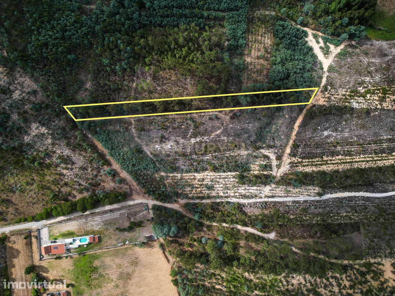 Pinhal com 1.425 m² em Brejal – Cabeça Alta, Seixo de Gatões, Montemor - Grande imagem: 2/11