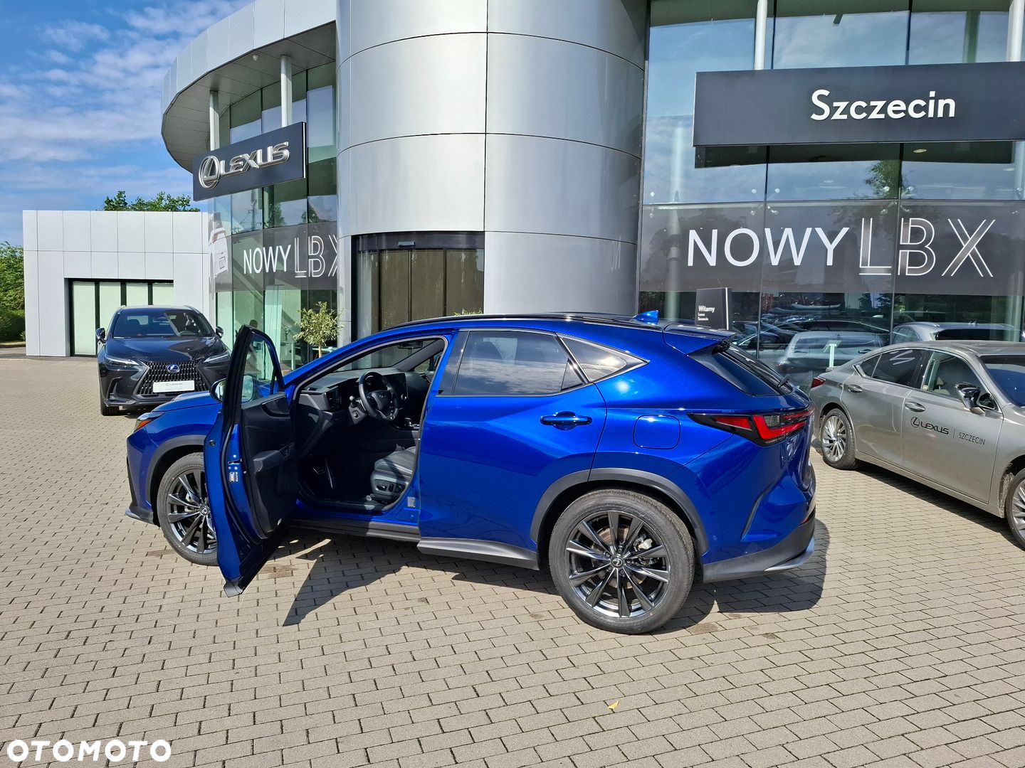 Lexus NX - 10