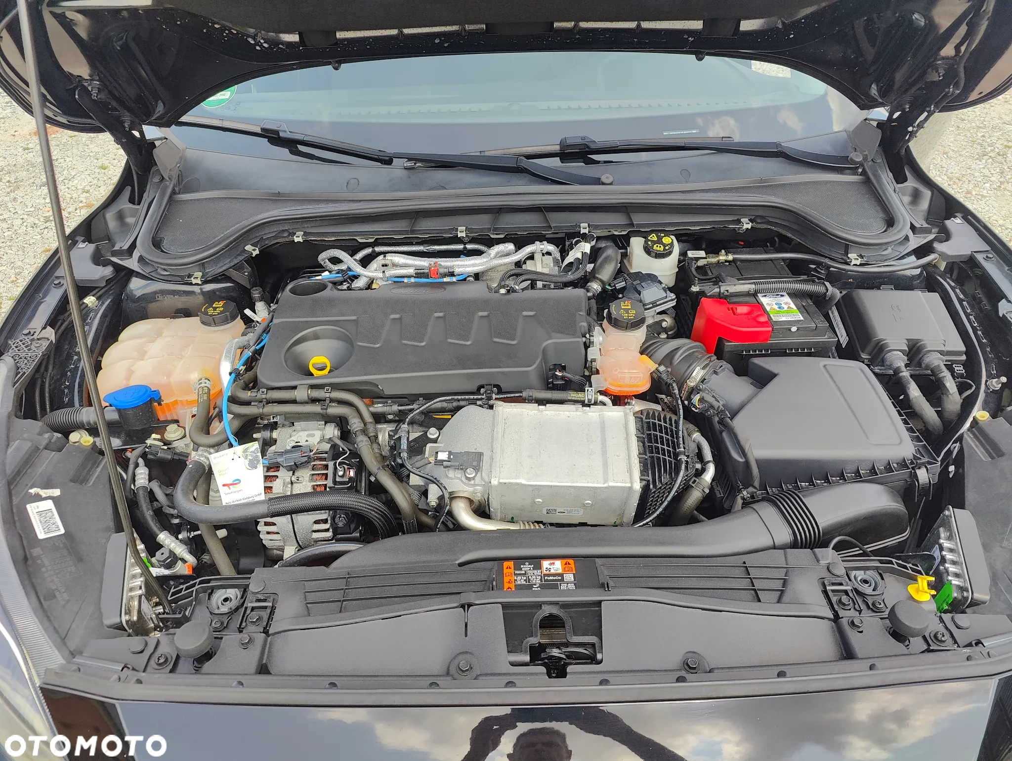 Ford Focus 2.0 EcoBlue Start-Stopp-System TITANIUM X - 18