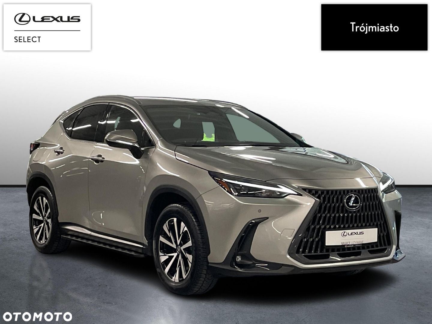 Lexus NX - 3