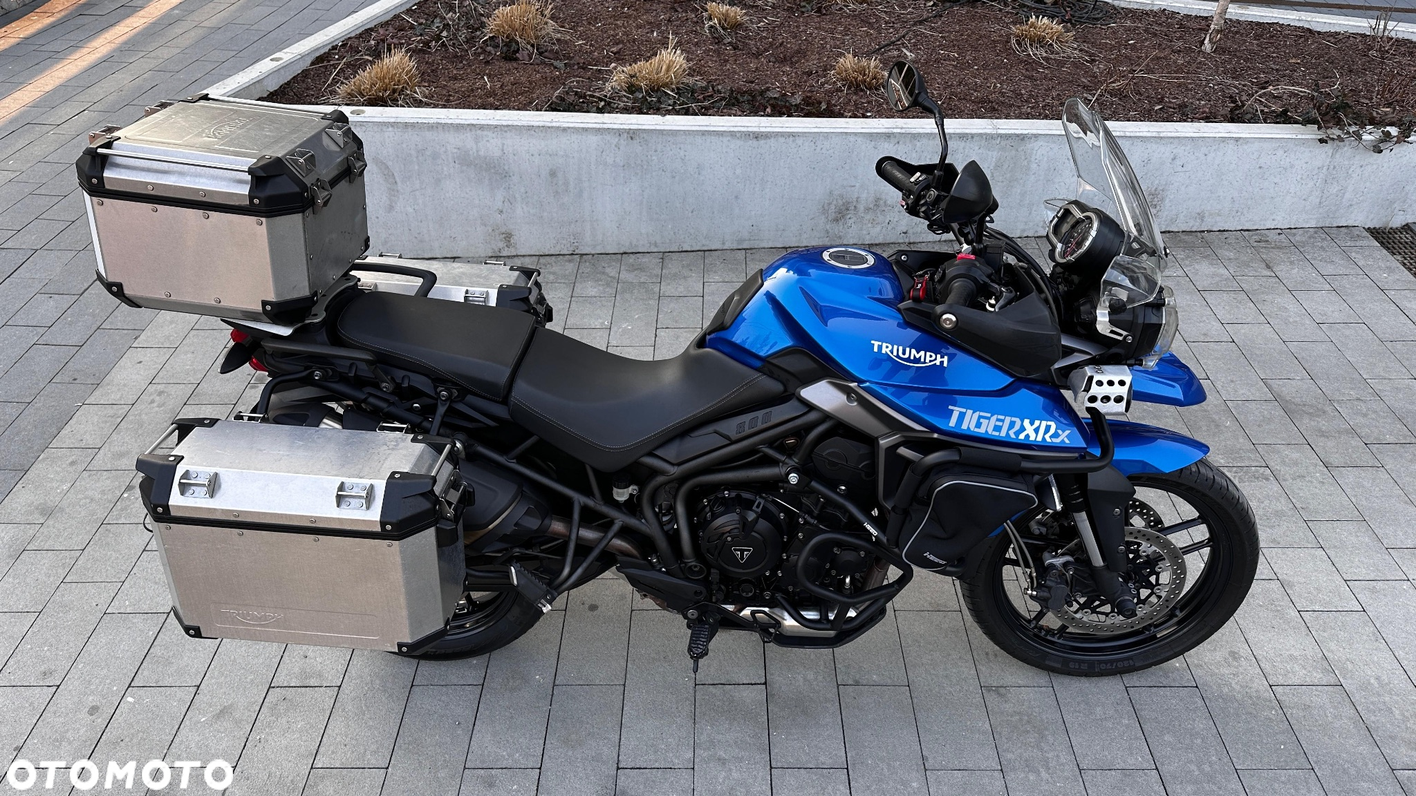 Triumph Tiger - 12