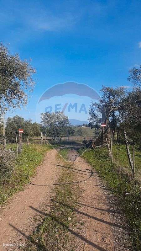 Terreno  para venda - Grande imagem: 5/25