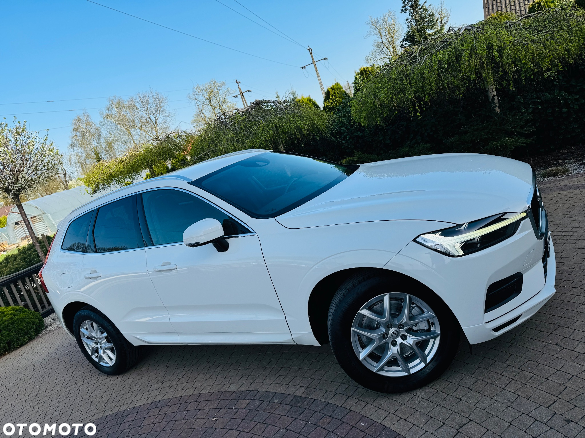 Volvo XC 60 B4 D AWD Geartronic Momentum Pro - 20