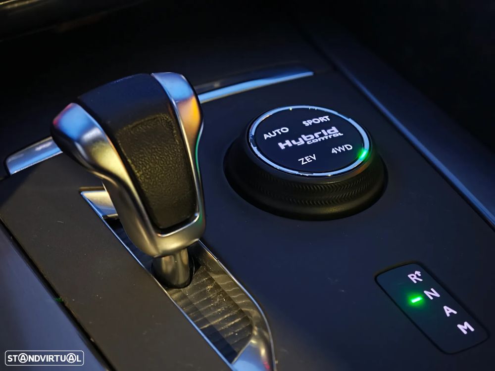 DS DS5 5 2.0 Hybrid4 Sport Chic - 33