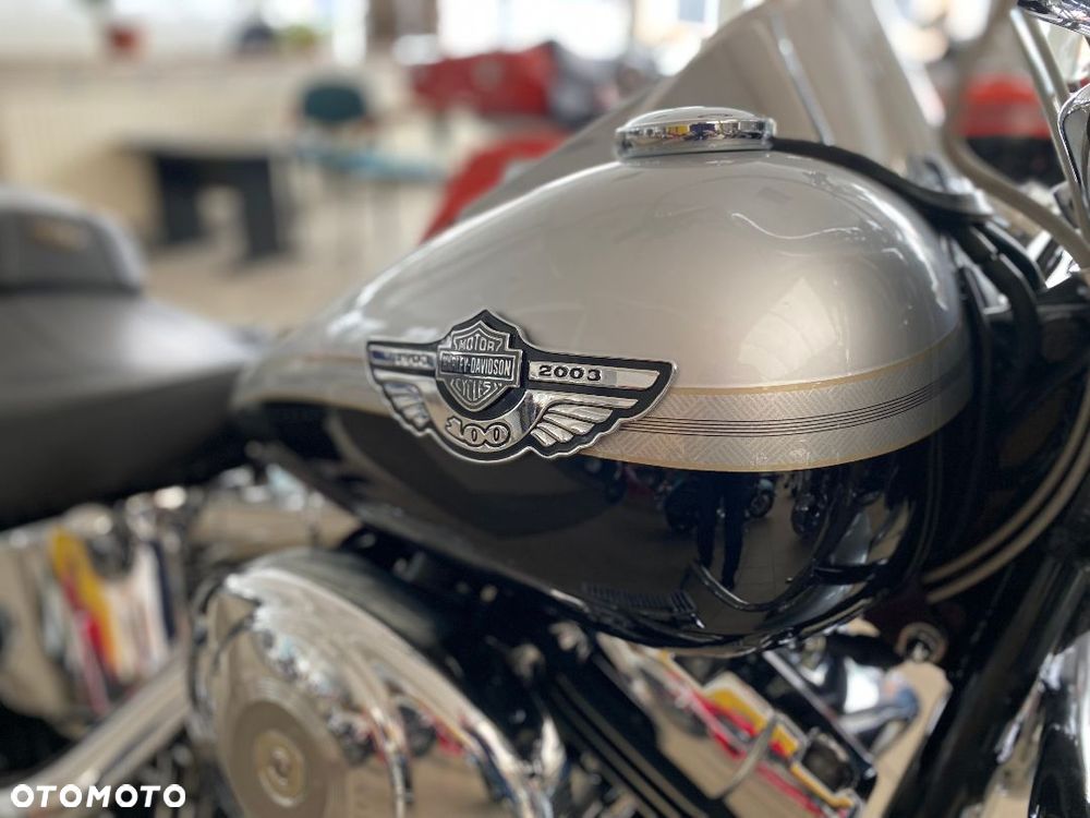 Harley-Davidson Softail Fat Boy - 25