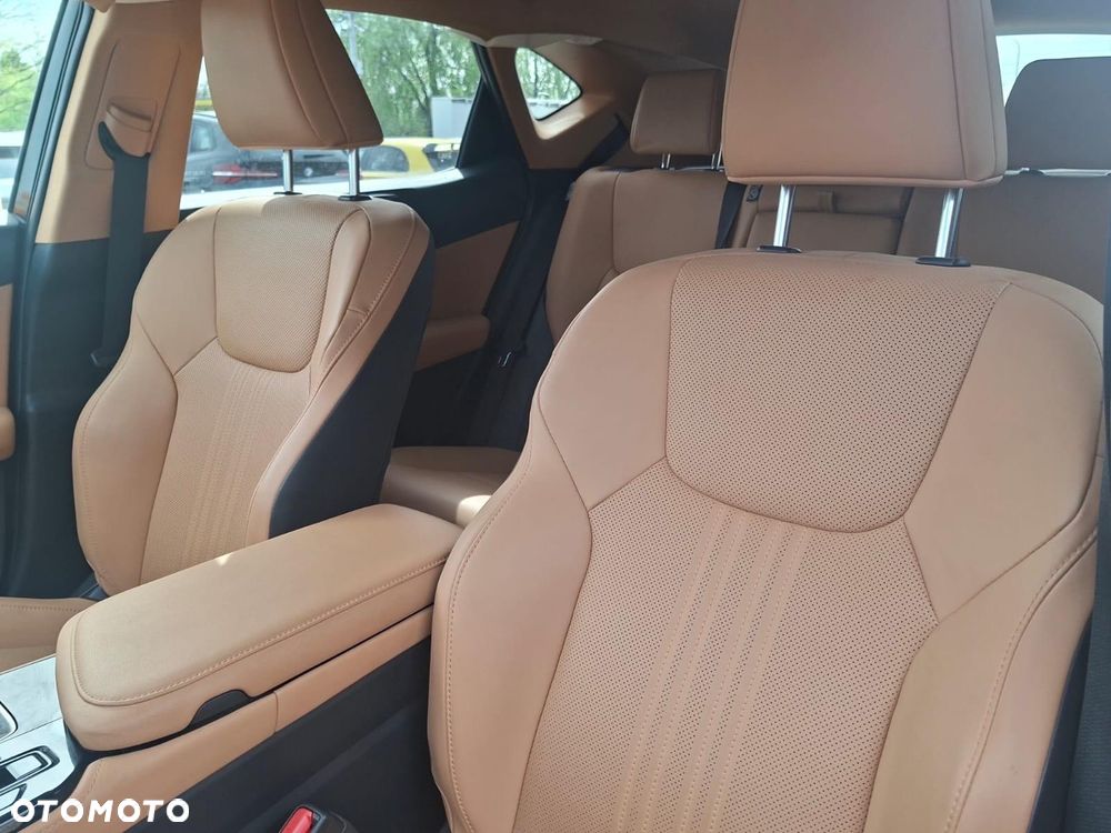 Lexus NX - 30