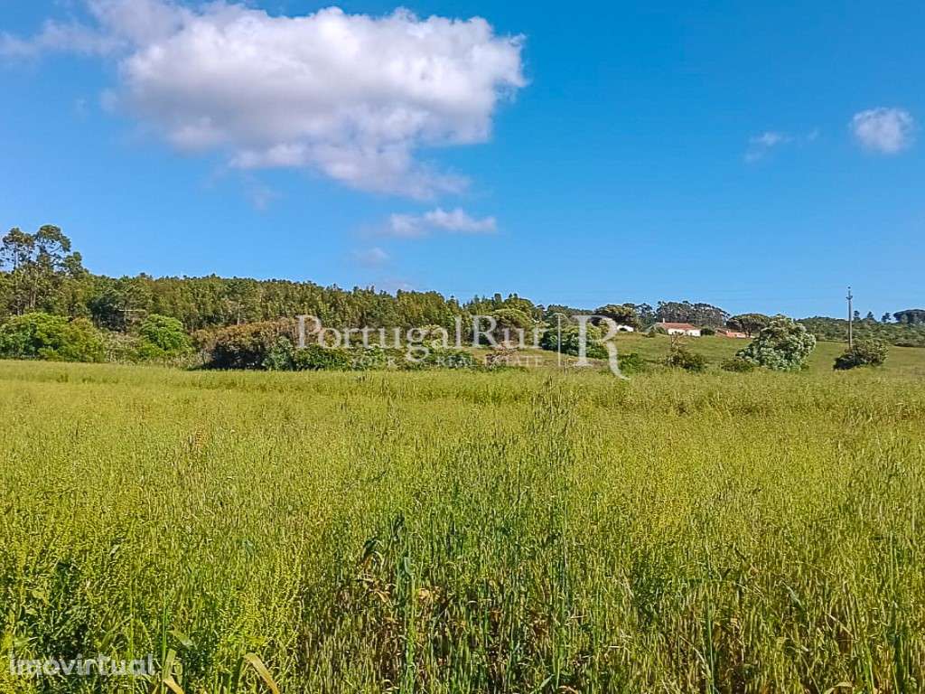 Terreno com 10.500 m² a 5 minutos das Praias Costa Vicentina, Algarve - Grande imagem: 2/5