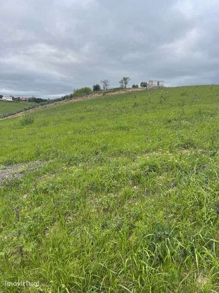 Terreno agricola 2,4ha - Grande imagem: 2/9