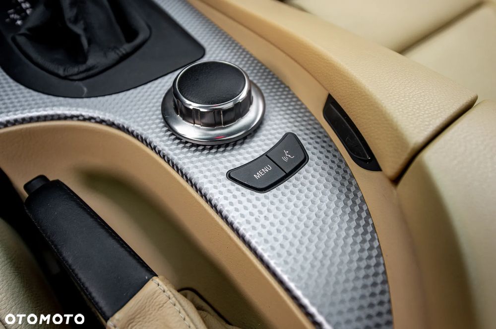 BMW Seria 5 530d - 39