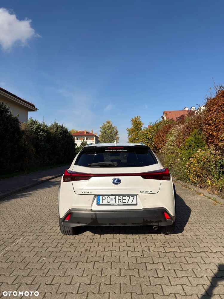 Lexus UX - 17