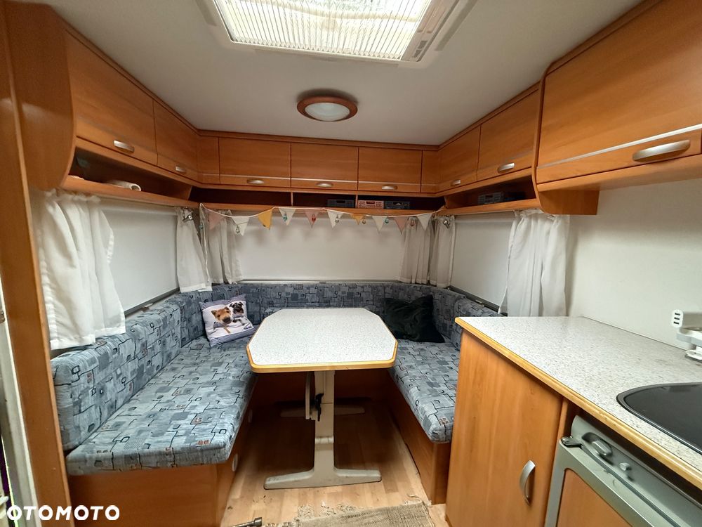 Wilk SPORT 490 - 12