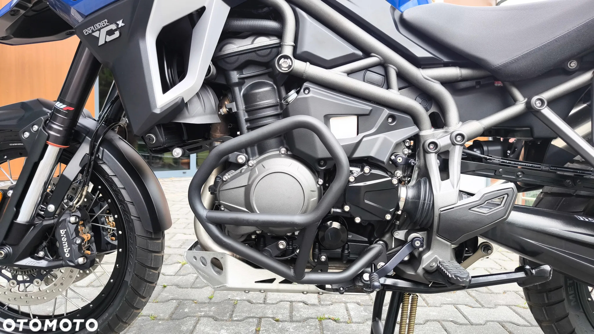 Triumph Tiger - 22