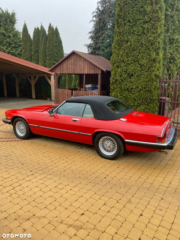 Jaguar XJS - 6