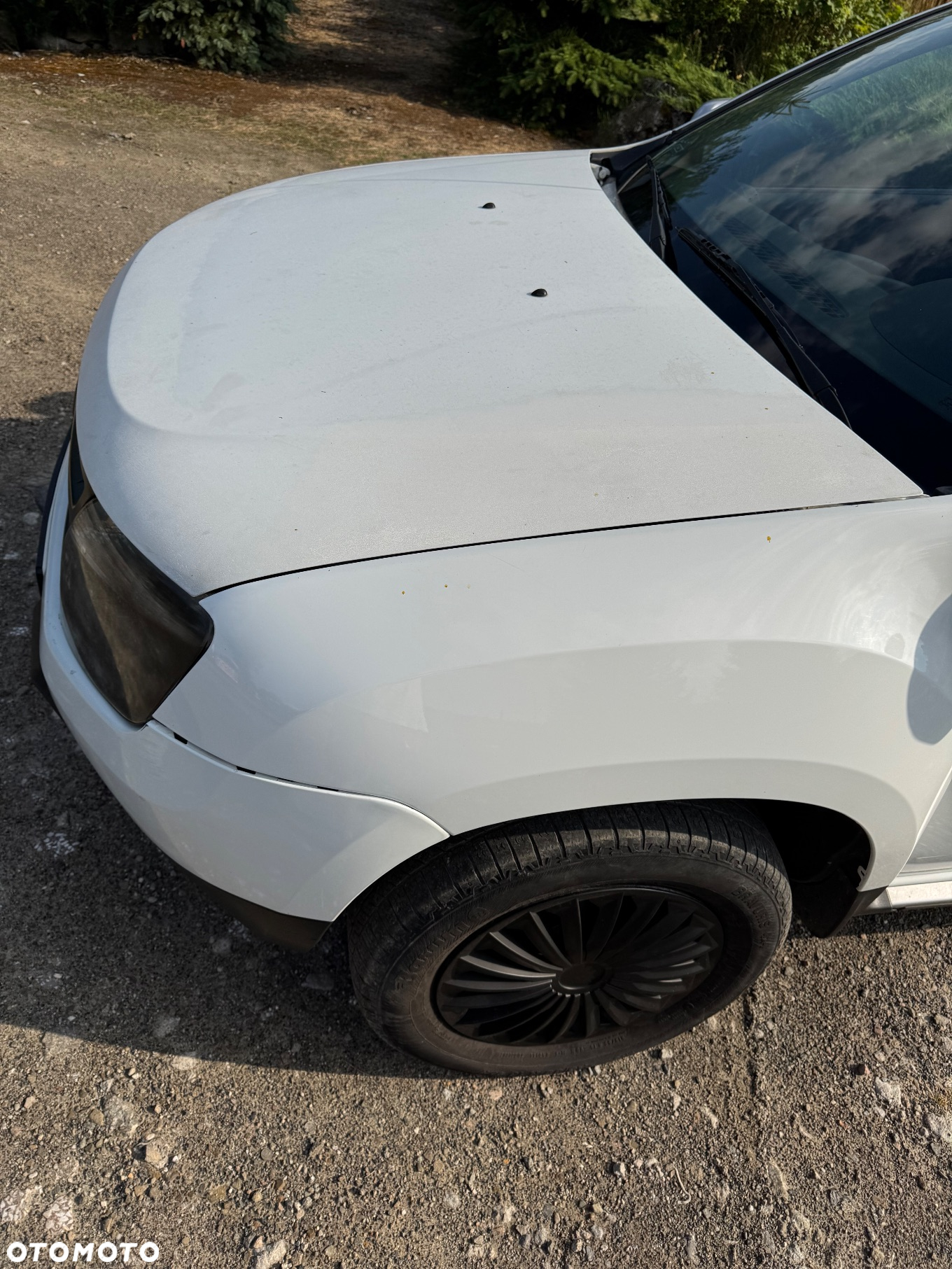 Dacia Duster 1.6 16V 4x4 - 18