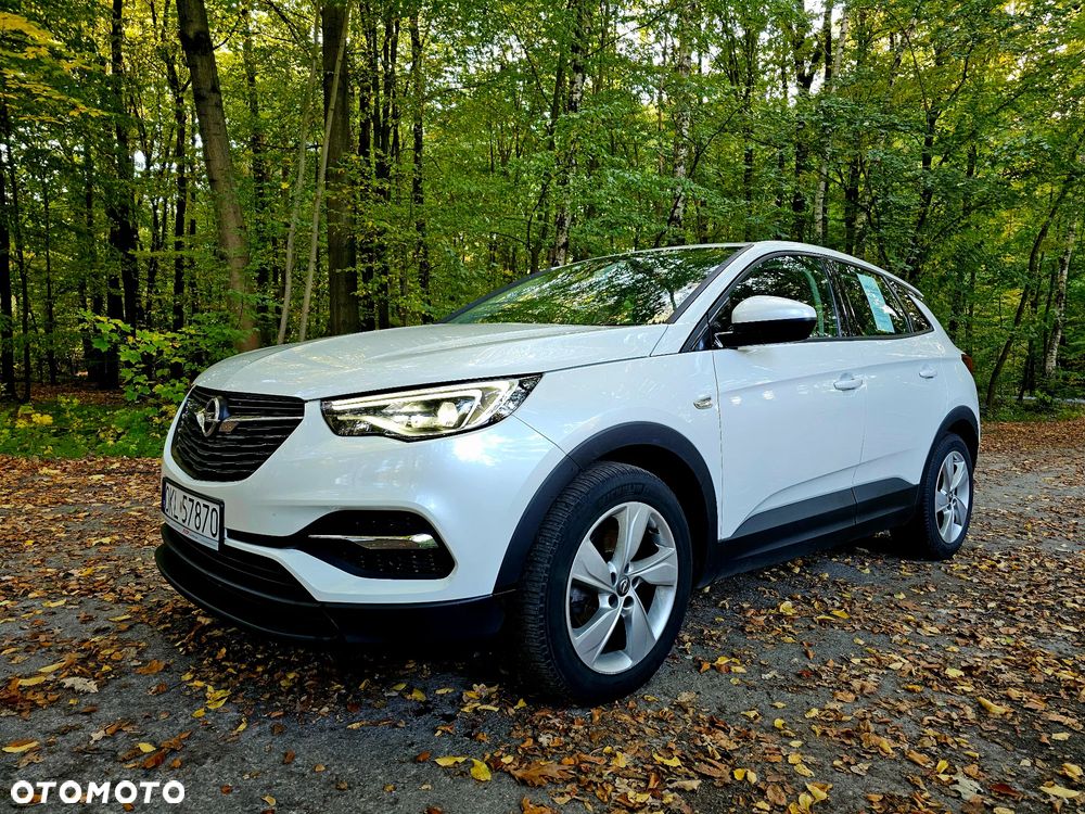 Opel Grandland X 2020 photo 2