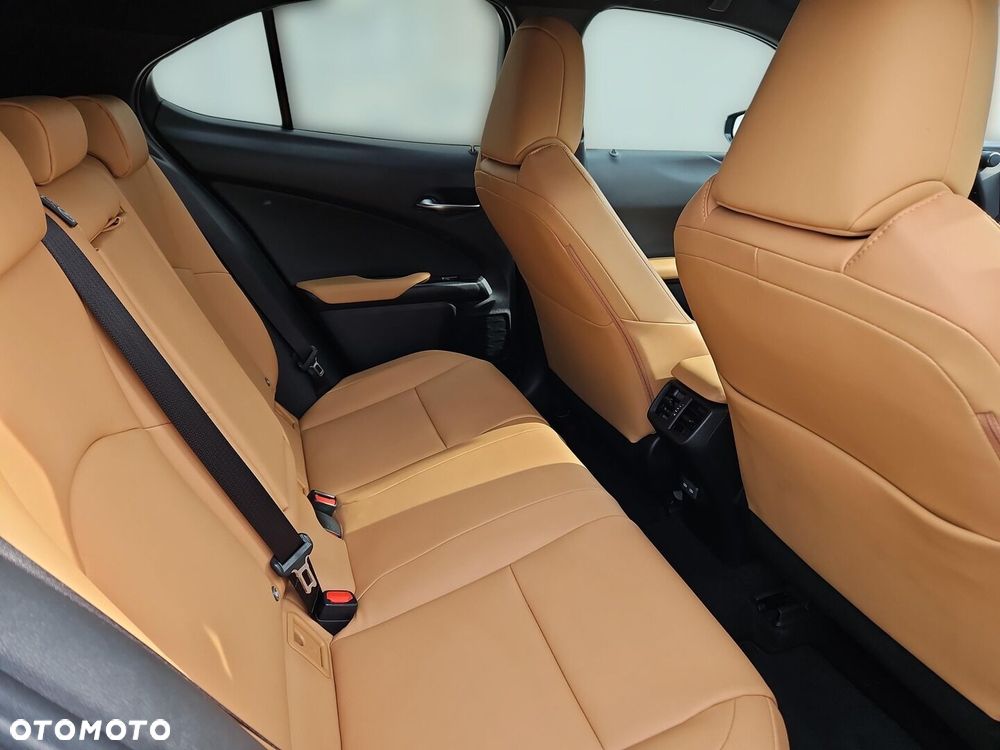 Lexus UX 300h F Sport Design - 24