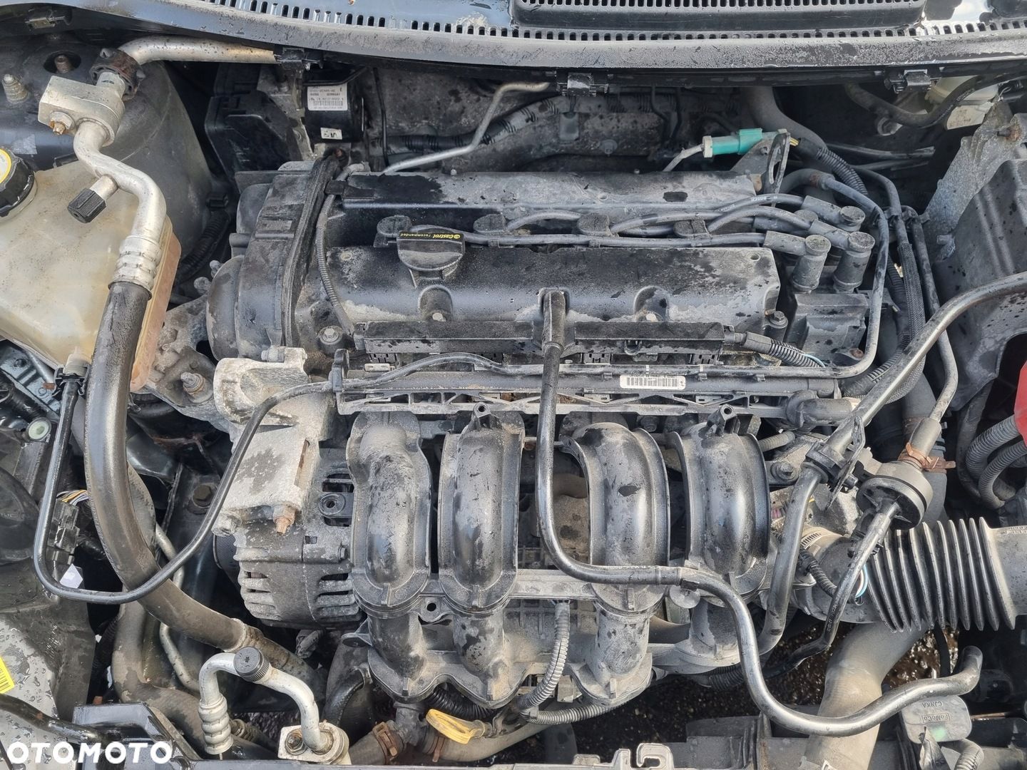 FORD FIESTA MK7 12-17 LIFT 2013 r. SILNIK 1,25 B 44 kW 60 KM 8A6G-6007-AB - 1