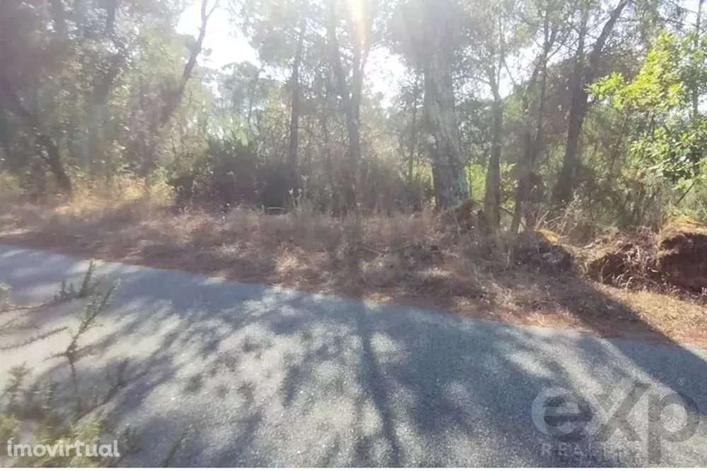 Quintinha com Terreno Urbano em Nelas - Grande imagem: 2/9