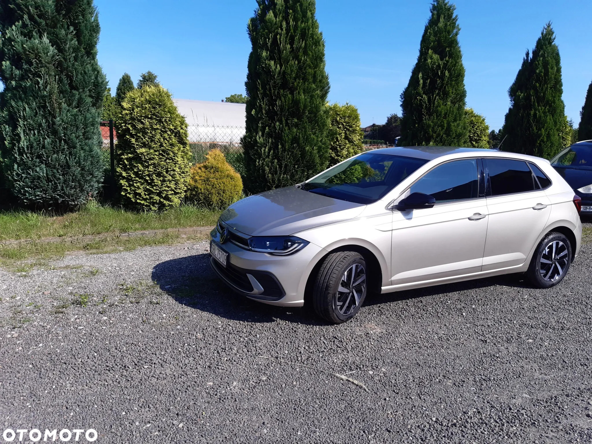 Volkswagen Polo 1.0 TSI OPF DSG Move - 2