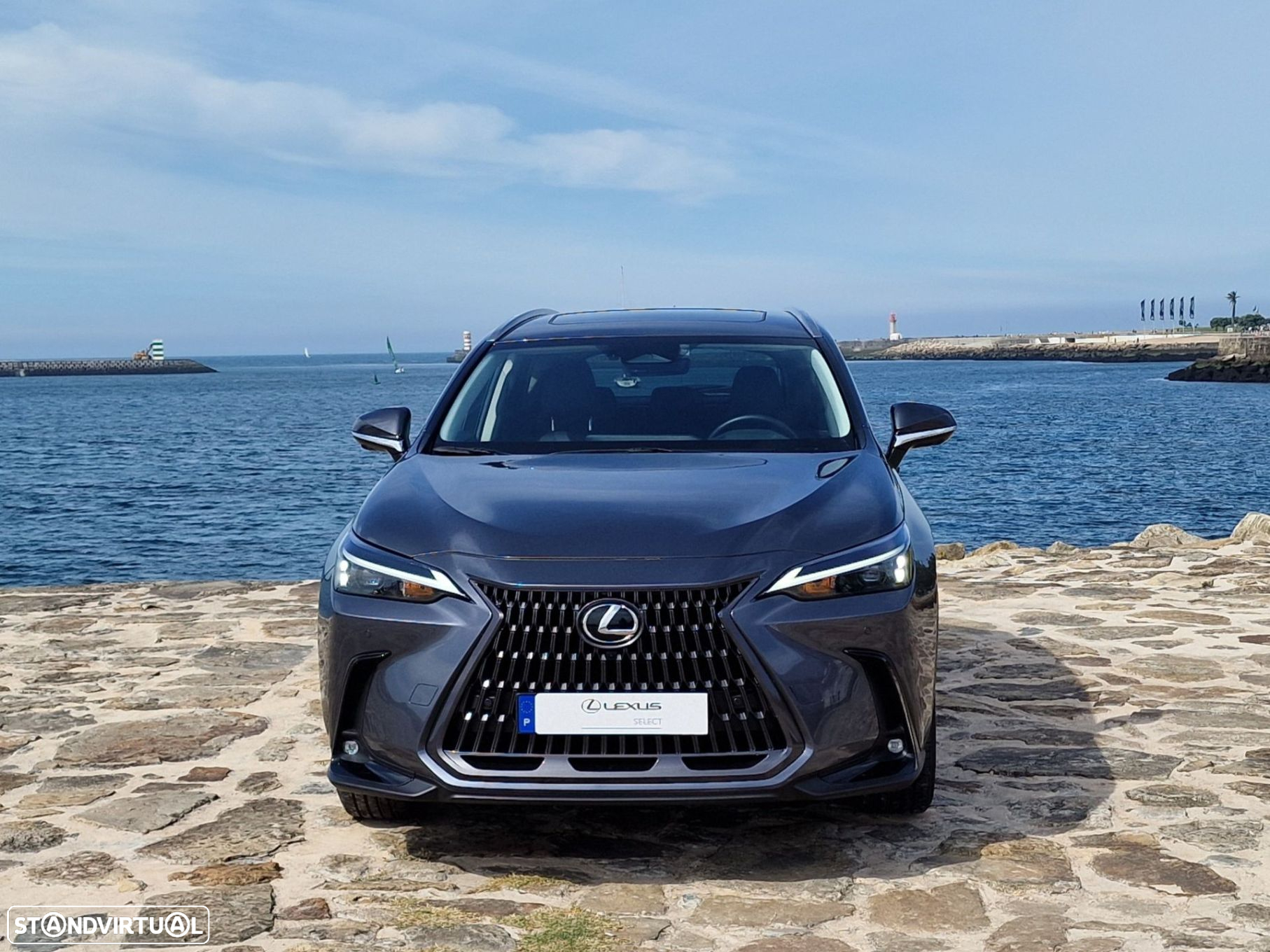 Lexus nx-450hplus - 11