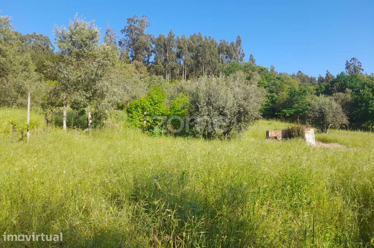 terreno rustico - Grande imagem: 2/24