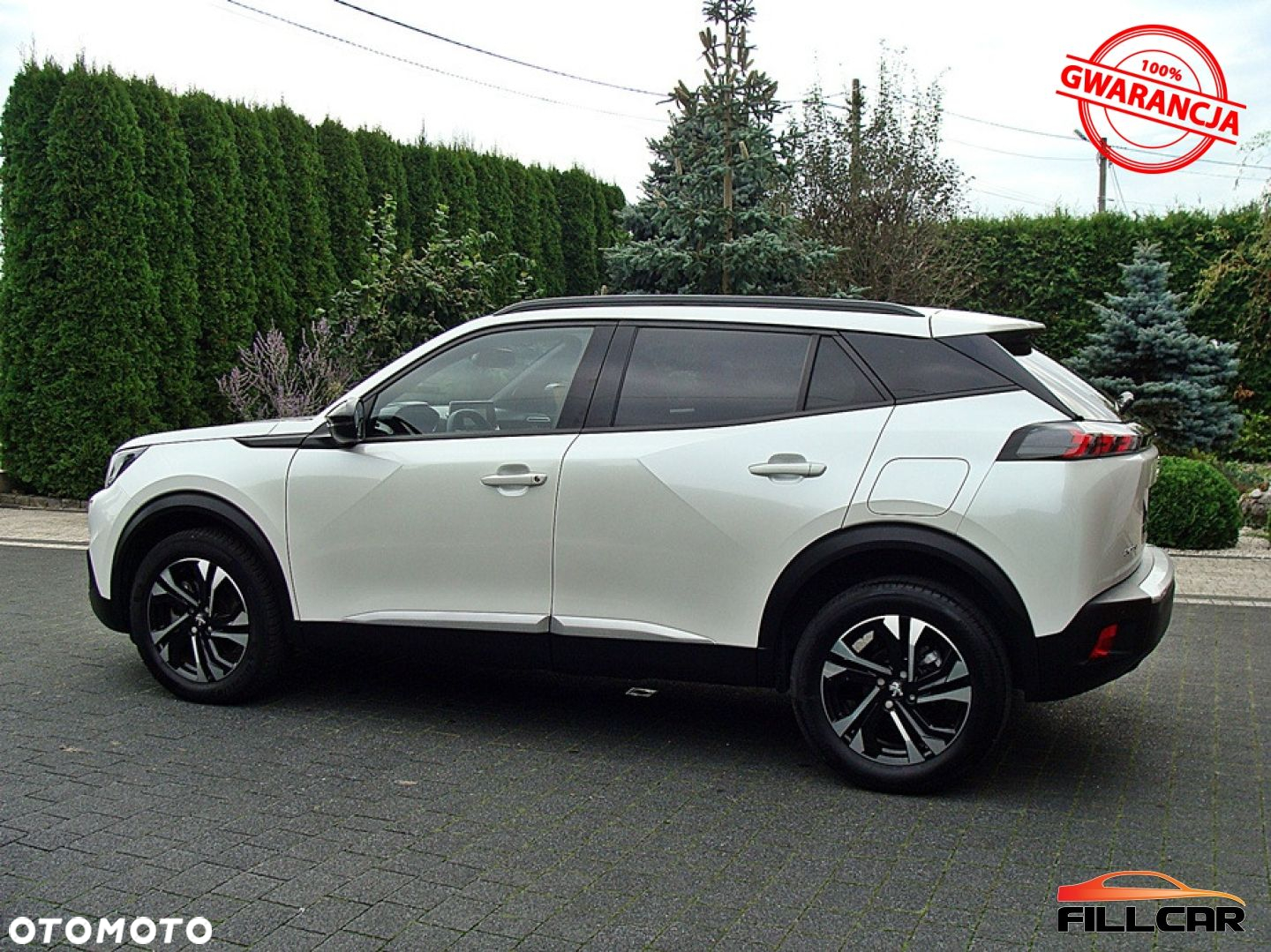 Peugeot 2008 1.5 BlueHDi Allure S&S EAT8 - 8